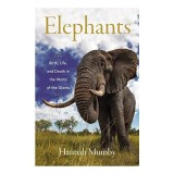 Elephant in the Mirror