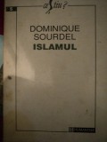 ISLAMUL- DOMINIQUE SOURDEL, BUC. 1993 , PREZINTA SUBLINIERI