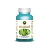 OBLIGEANA 60CPS, Hypericum