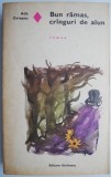 Cumpara ieftin Bun ramas, cranguri de alun - Ada Orleanu (carte beletristica, roman)