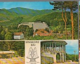 CPIB 15342 - CARTE POSTALA - SANGEORZ BAI. MOZAIC, Necirculata, Fotografie