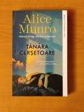 Alice Munro - T&acirc;năra cerșetoare