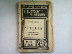 STELELE - VICTOR ANESTIN foto