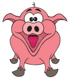 Vand porc VIU de carne aprox 180-200 kg