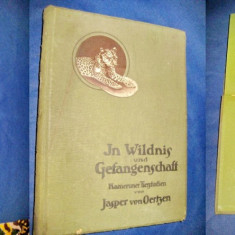 1372-In salbaticie si captivitate- 1913-Carte veche germana. Jasper von Oertzen.