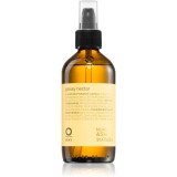 Oway Styling &amp; Finish ulei de par regenerator 160 ml
