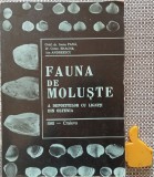 Fauna de moluste a depozitelor cu ligniti din Oltenia Ioana Pana