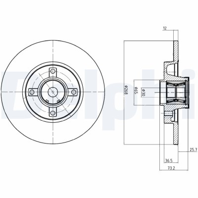 DELPHI BG9053RSC Disc frana foto