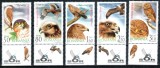 Romania 2007, LP 1760 a, Pasari de prada, seria cu tabs similar cu timbrul, MNH!, Fauna, Nestampilat