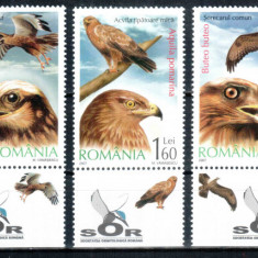 Romania 2007, LP 1760 a, Pasari de prada, seria cu tabs similar cu timbrul, MNH!