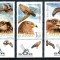 Romania 2007, LP 1760 a, Pasari de prada, seria cu tabs similar cu timbrul, MNH!