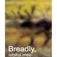 Breadly, iubitul meu. Povestiri de sertar - Adrian Costache