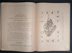 rar MANUALUL de EXPLOATAREA TANCULUI T-34-85 ilustrat MFA Tiraj mic Intretinere Tehnica Conducere Pregatire Vara Iarna Manual Tanc Tancul T34-T85 URSS