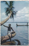 bnk cp Africa - Tanara nativa langa cocotier - uzata