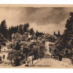 CPI B13664 CARTE POSTALA - SINAIA - VEDERE, RPR