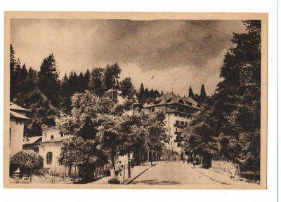 CPI B13664 CARTE POSTALA - SINAIA - VEDERE, RPR foto