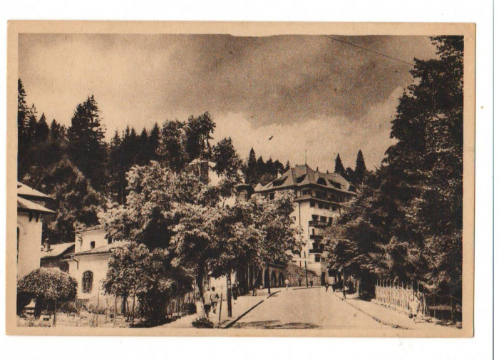 CPI B13664 CARTE POSTALA - SINAIA - VEDERE, RPR