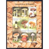 COMORES 1999 CIUPERCI