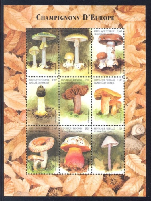 COMORES 1999 CIUPERCI
