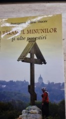 TARAMUL MINUNILOR SI ALTE POVESTIRI - PROTOPOPUL ANDREI TKACEV