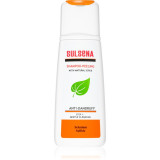Cumpara ieftin Sulsena Anti-Dandruff Shampoo-Peeling sampon exfoliant anti matreata 150 ml