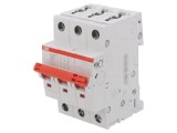 Separator-&icirc;ntrerupător 3 Poli pentru șină DIN 32A 400VAC