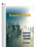 America ogarului cenusiu - Romulus Rusan