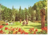 @carte postala(ilustrata)-SLANIC MOLDOVA-vedere din parc