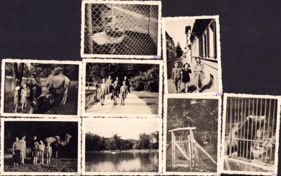 HST M495 Lot 8 poze Grădina zoologică și Sibiu 1943 foto
