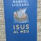 ISUS AL MEU-GABRIEL LIICEANU