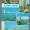 CPIB 17201 CARTE POSTALA - MAMAIA. mozaic