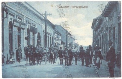 4921 - PETROSANI, Hunedoara, Street stores, Bike - old postcard - used - 1910 foto