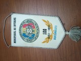 Fanion Ministerul de Interne , Jandarmeria Romana 1893-1993