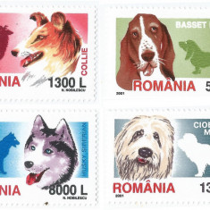 Romania, LP 1551/2001, Rase de caini, MNH