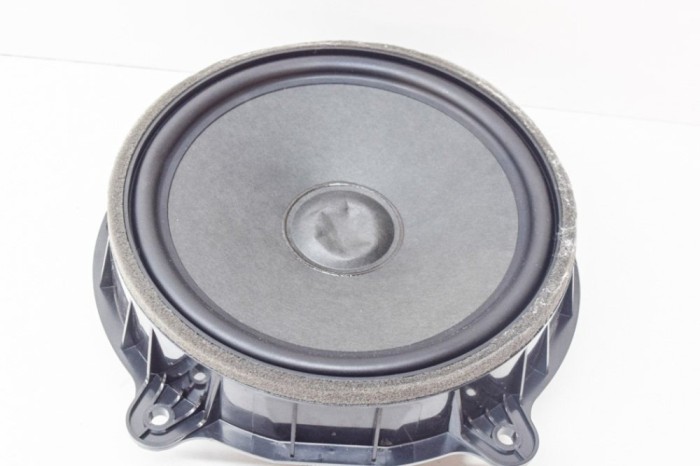 Difuzor ușă st&acirc;nga față TESLA MODEL 3 2019 OEM: 430407772455,1079744-00-E 12080704