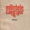 Muntele catirilor - Roman