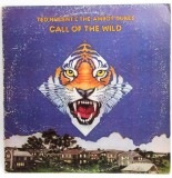 Ted Nugent &amp; The Amboy Dukes &lrm;&ndash; Call Of The Wild VG+ / VG+ vinil LP disc hard rock clasic Discreet SUA 1974