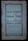 N. CHETOIANU (INGINER), CE SE PETRECE LA PESCARIILE STATULUI SI DE CE MANCAM PESTELE SCUMP, CRAIOVA, 1929