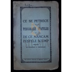 N. CHETOIANU (INGINER), CE SE PETRECE LA PESCARIILE STATULUI SI DE CE MANCAM PESTELE SCUMP, CRAIOVA, 1929