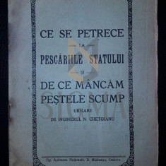 N. CHETOIANU (INGINER), CE SE PETRECE LA PESCARIILE STATULUI SI DE CE MANCAM PESTELE SCUMP, CRAIOVA, 1929