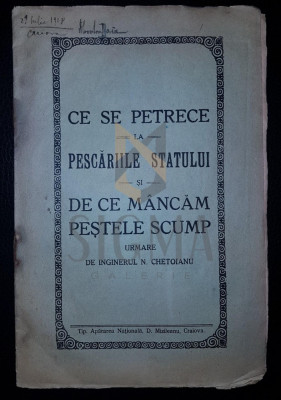 N. CHETOIANU (INGINER), CE SE PETRECE LA PESCARIILE STATULUI SI DE CE MANCAM PESTELE SCUMP, CRAIOVA, 1929 foto