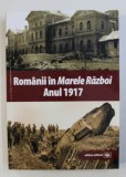 ROMANII IN MARELE RAZBOI ANUL 1917 : DOCUMENTE , IMPRESII , MARTURII de MIHAIL E. IONESCU , 2018