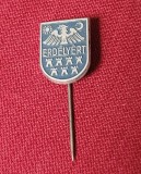 Insigna Erdelyert Transilvania WW1