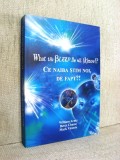Cartea Ce naiba stim noi, de fapt?! Eseu Spiritualitate Ezoterism Filozofie William Arntz