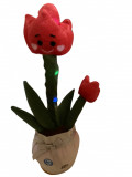 Jucarie Interactiva, Cactus Dansator THK, Lalea, USB,120 melodii, luminite, 32cm, Rosu