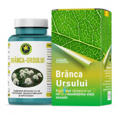 Branca Ursului 60cps