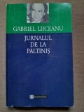 Gabriel Liiceanu - Jurnalul de la Paltinis