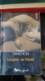 Maigret se Insala - Georges Simenon