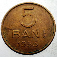 7.299 ROMANIA RPR 5 BANI 1955