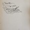 BUCURIA-GIUSEPPE UNGARETTI-216835